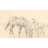 Circle of Lionel Edwards, A study of a mare and a foal, pencil drawing, 4.75" x 7.5".