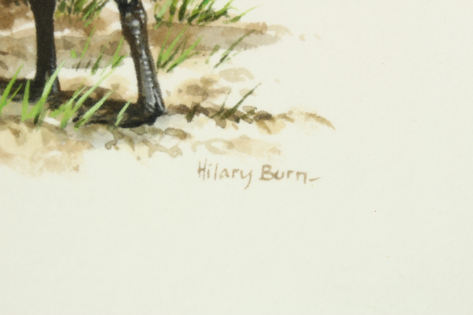 Hillary Burn (b. 1946) British, A scene of red-breasted geese, watercolour, signed, 12" x 9". - Image 3 of 5