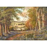 A. D. Bell (early 20th century) A figure amongst wildflowers by a path through a wood, oil on