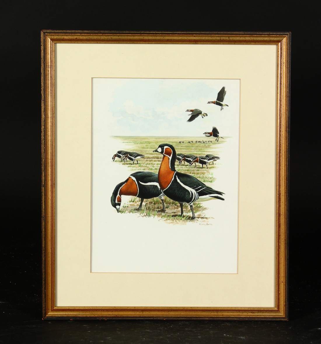 Hillary Burn (b. 1946) British, A scene of red-breasted geese, watercolour, signed, 12" x 9". - Image 2 of 5