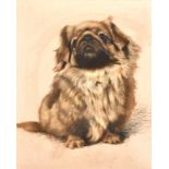 Leslie S.G. Harries (1900-1975) A study of a seated dog, mixed media, signed, 16" x 13".