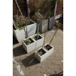 Two pairs of modern garden pots containing shrubs.