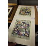 Henry Fletcher, a pair of unframed hand coloured prints of Robert Furber's Catalogue of Fruits.