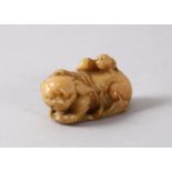 A CHINESE SOAPSTONE FIGURE OF A LION DOGs, the small carving depicts a recumbent lion dog with a