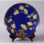 A CHINESE CLOISONNE PLATE & STAND - the dish with a royal blue ground with prunus decoration, 23cm