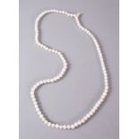 A GOOD SET O CARVED WHITE JADE ROSARY BEADS, comprising 109 spherical carved beads, 92cm open