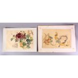 TWO CHINESE PAINTINGS OF NATIVE FLORAL DISPLAY, one on paper depicting natural vegetable growth,