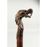A CARVED CHINESE DRAGON HANDLE WALKING STICK. 37ins long.
