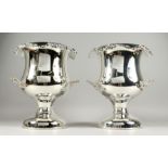 A GOOD PAIR OF TWO HANDLED URN SHAPED WINE COOLERS with fruiting vines
