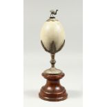 AN AUSTRALIAN EMU EGG with plated mount and wooden box. Egg 4.5ins