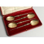 A SET OF FOUR EDWARD VII SILVER GILT APOSTLE SPOONS 10ins long London 1902, maker, Goldsmith and
