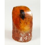 AN AMBER BUG PAPER WEIGHT 5ins high