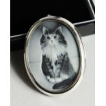 A SILVER CAT CAMEO BROOCH