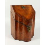 A GEORGE III MAHOGANY KNIFE BOX with fitted interior 9ins wide, 13.5ins high