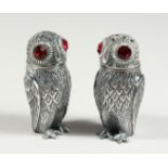 A PAIR OF .800 OWL SALT AND PEPPERS