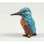 A COLD CAST PAINTED BRONZE KINGFISHER PIN CUSHION 2.5ins long