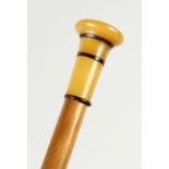A CANE WITH TURNED HORN HANDLE.