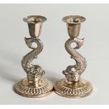 A PAIR OF SILVER DOLPHIN CANDLESTICKS 4ins high.