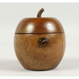 A GOOD APPLE WOOD TEA CADDY 4.5ins high.