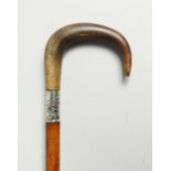 A VICTORIAN WALKING STICK with rhino crook handle and .800 silver band. 32ins long.