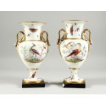A GOOD PAIR OF FRENCH PORCELAIN TWO HANDLED VASES, painted with flowers, birds insects and