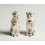 A PAIR OF SILVER PLATE DOG SALT AND PEPPERS 2.35ins high