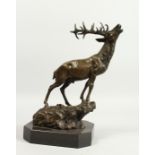 A CAST BRONZE MODEL OF A STAG ON A ROCKY OUTCROP, mounted on a marble base. 14ins high.