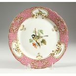 AN ENGLISH PORCELAIN PLATE, the border with vignettes of birds, the centre painted with a great tit.