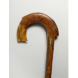 A VICTORIAN WALKING STICK with carved horn handle in the shape of a carp. 36ins long.