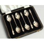A SET OF SIC STERLING SILVER COFFEE SPOONS cased Sheffield 1908