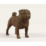 A SMALL HEAVY BRONZE PUG DOG 3ins long
