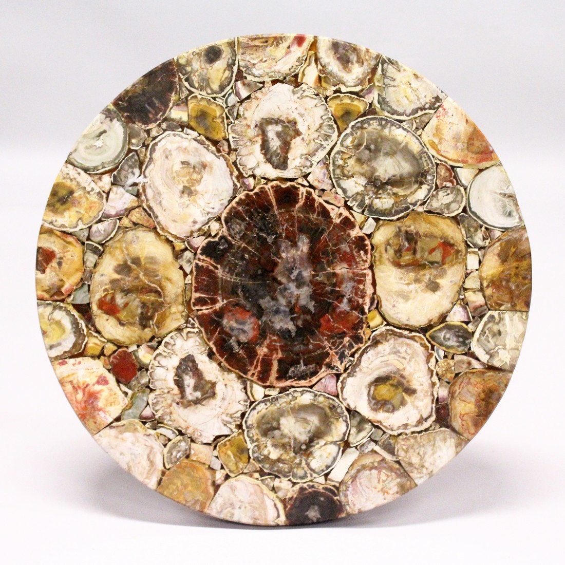 A SUPERB QUALITY PETRIFIED WOOD CIRCULAR TRIPOD TABLE on bronze feet. 1ft 11ins diameter, 2ft 3ins - Image 2 of 5