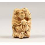 A CARVED BONE INSECT NETSUKE