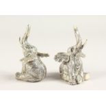A PAIR OF SILVER PLATE ELEPHANT SALT AND PEPPERS