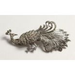 A SILVER AND MARCASITE PEACOCK BROOCH