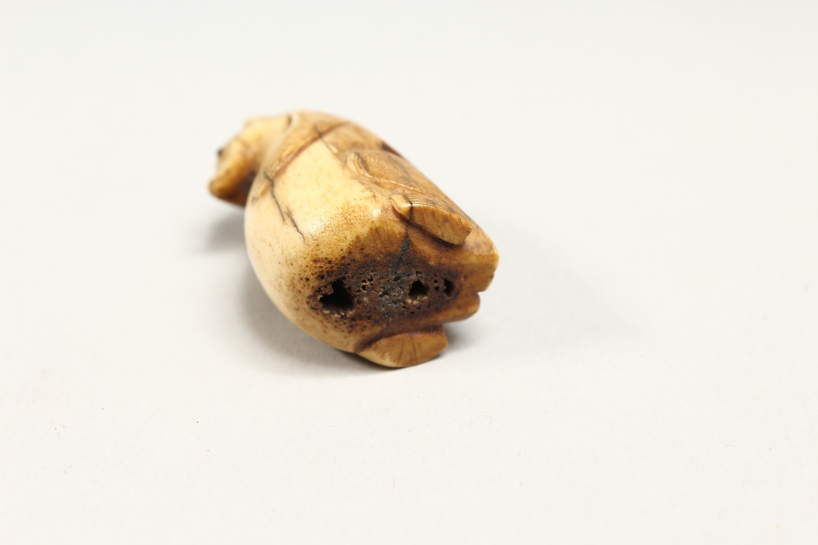 A CARVED BONE NETSUKE OF A BEAR 1.25ins - Image 6 of 6