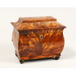 A GOOD REGENCY BLOND TORTOISESHELL TWO DIVISION TEA CADDY on four bun feet. 7ins wide.