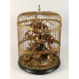 TAXIDERMY - VARIOUS SMALL BIRDS IN A METAL CAGE. Cage 23 ins tall