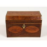 A GEORGE III THYA WOOD TWO DIVISION TEA CADDY, the front with two ovals. 7ins long.
