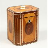 A SUPERB GEORGE III SATINWOOD BANDED TEA CADDY with rosewood and ivory canted corners and ivory