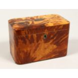 A GOOD REGENCY TORTOISESHELL TWO DIVISION TEA CADDY of rectangular form. 6.75ins high.