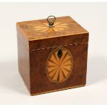 A SMALL GEORGE III SQUARE TEA CADDY with satinwood fan inlay. 4.25ins high.