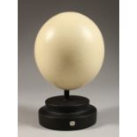 AN OSTRICH EGG on a plinth. 5ins high