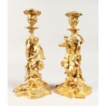 A GOOD PAIR OF GILT BRONZE CLASSICAL CANDLESTICKS on scrolled base. 11.5 ins tall