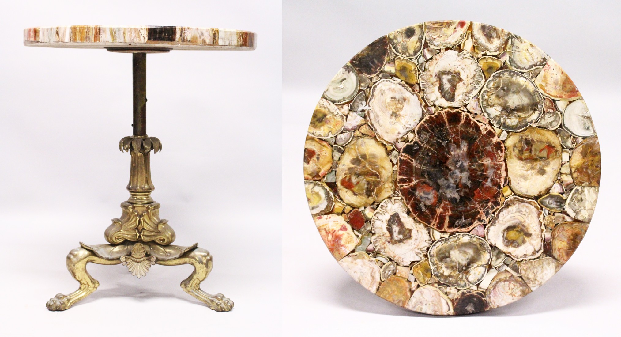 A SUPERB QUALITY PETRIFIED WOOD CIRCULAR TRIPOD TABLE on bronze feet. 1ft 11ins diameter, 2ft 3ins