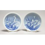 A PAIR OF BLUE AND WHITE PLATES decorated with storks. 7ins diamter.