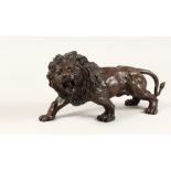 A BRONZE LION 12ins long