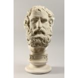 AN ANTIQUE PLASTER BUST 19ins high.