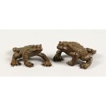 TWO SMALL JAPANESE BRONZE TOADS (2)