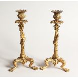 A GOOD PAIR OF GILDED METAL CANDLESTICKS on claw feet 10ins high.